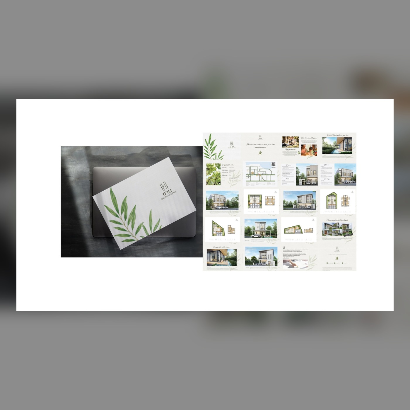 Chan Branding